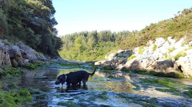 Apartamento Rural Lago Ercina Διαμέρισμα Onís Εξωτερικό φωτογραφία